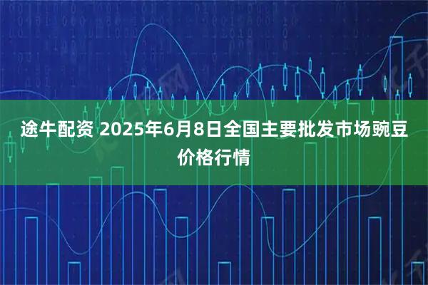 途牛配资 2025年6月8日全国主要批发市场豌豆价格行情