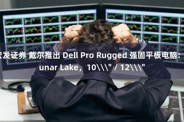 宏发证券 戴尔推出 Dell Pro Rugged 强固平板电脑：Lunar Lake，10\＂ / 12\＂