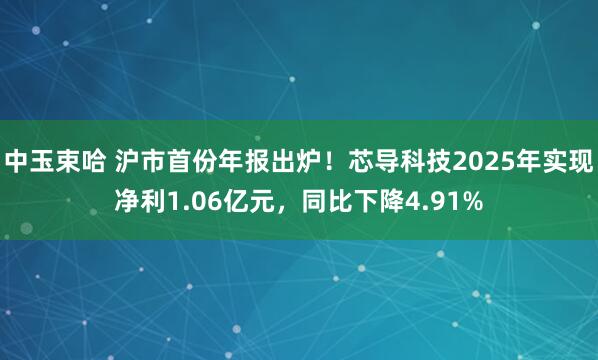 中玉束哈 沪市首份年报出炉！芯导科技2025年实现净利1.06亿元，同比下降4.91%