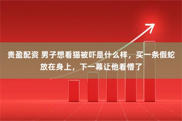贵盈配资 男子想看猫被吓是什么样，买一条假蛇放在身上，下一幕让他看懵了