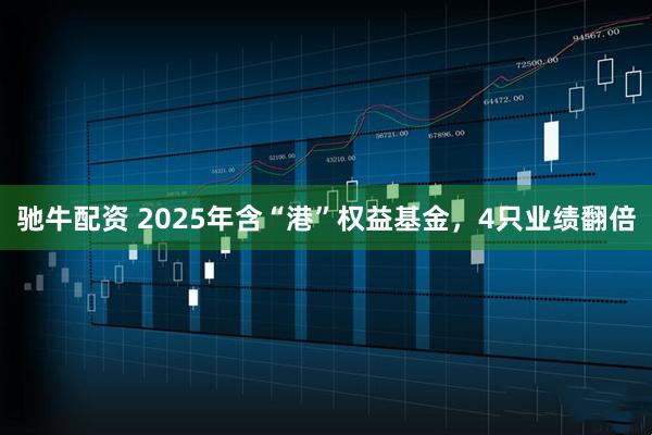 驰牛配资 2025年含“港”权益基金,4只业绩翻倍