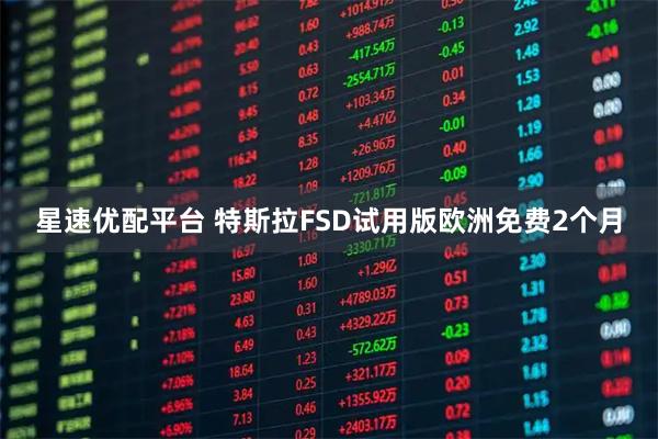 星速优配平台 特斯拉FSD试用版欧洲免费2个月